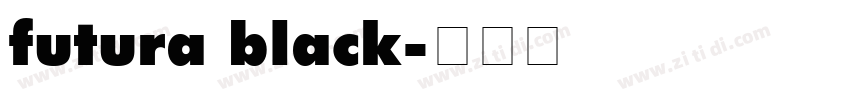 futura black字体转换